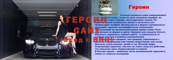 стаф Россошь