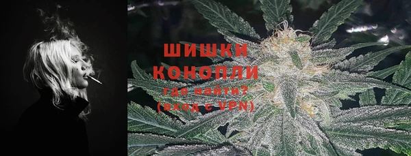 стаф Верхний Тагил