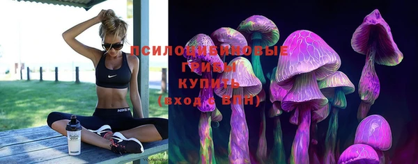 соль курить ск Верея